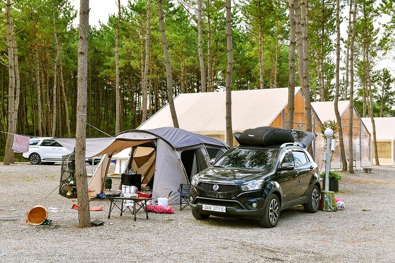 신두리정원오토캠핑야영장 시설 사진 8