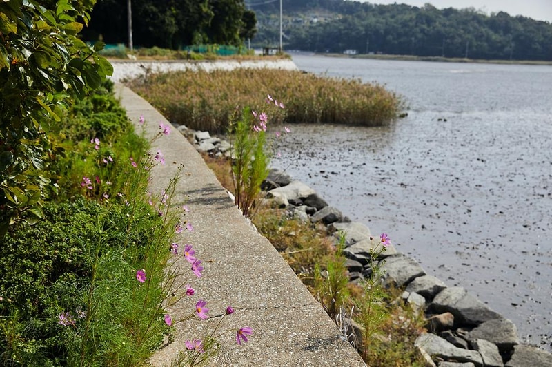 강화도 크로바 캠핑장 시설 사진 1