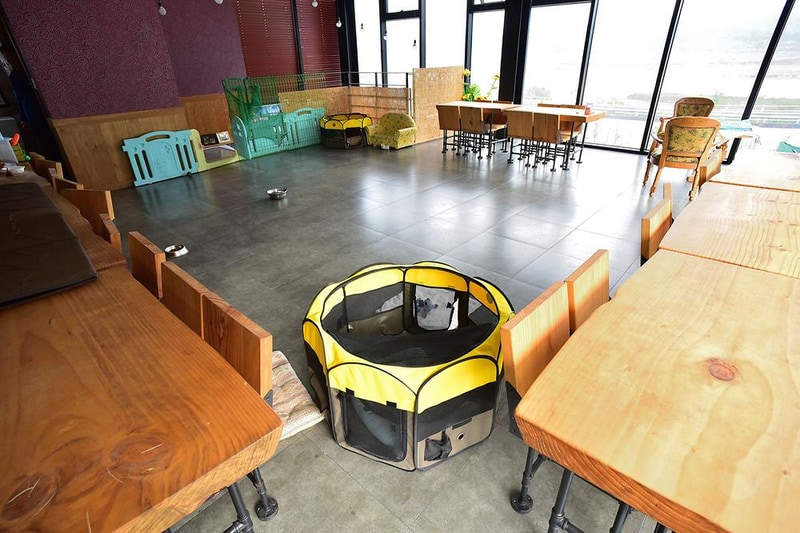 한별 도그파크 시설 사진 15