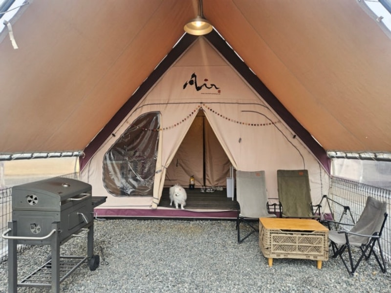 [충주] 애견 동반 글램핑 잭슨글램핑장 파크뷰 P3 방문 솔직후기