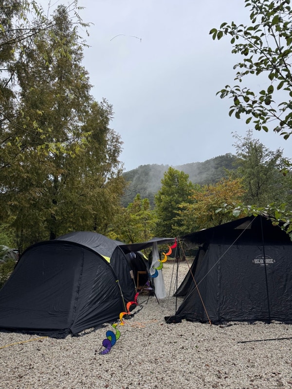 포천 도마치캠핑장 2박3일 우중캠핑 기록 + 캠핏 텐트세탁