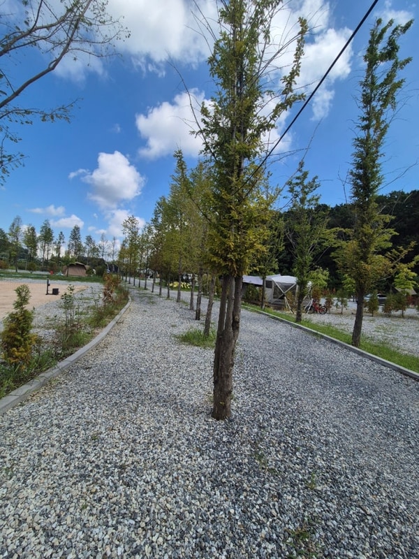 #16. 아산 모나팜 캠핑장 (25.8.29~31)