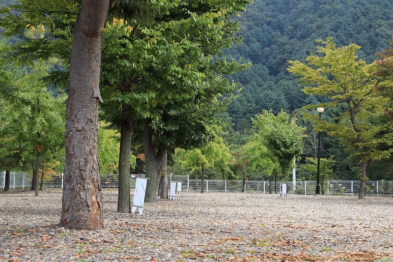 블루래빗 시설 사진 12