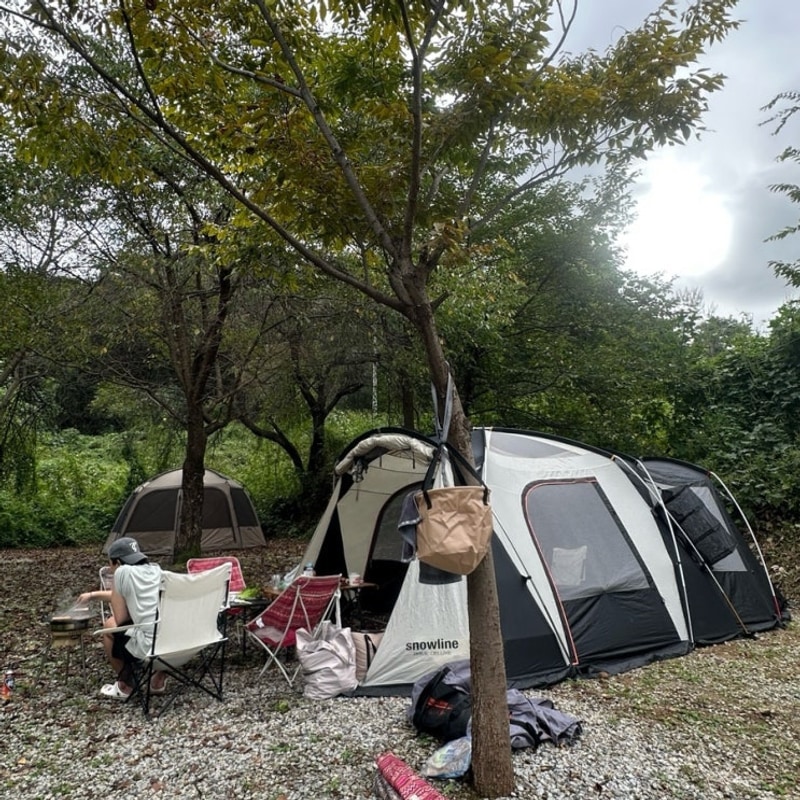 근교 경기 양주 신설 캠핑장 프라이빗 가족캠핑 봄이오는캠프