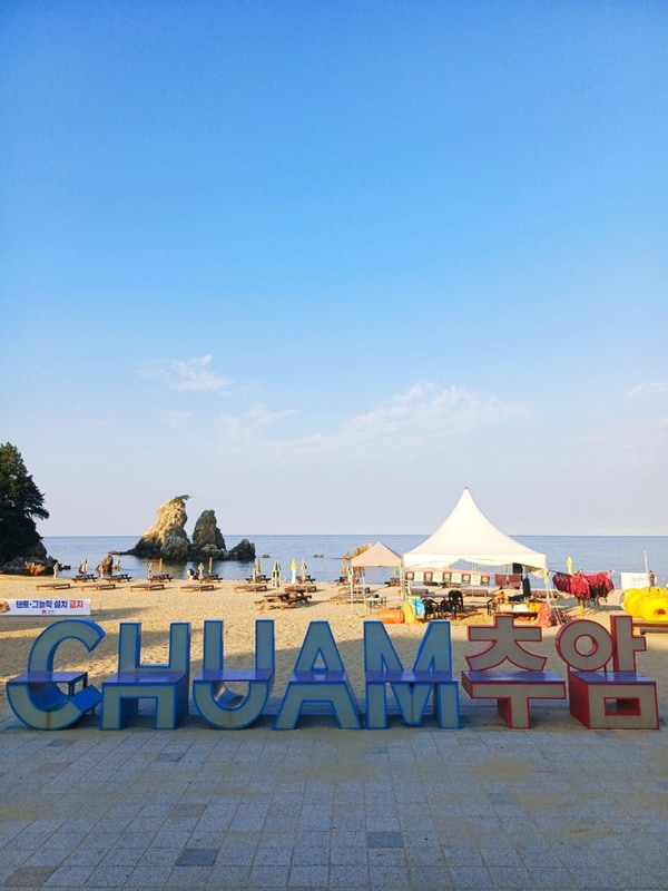 추암오토캠핑장 H2 자리와 동해바다 촛대바위 일출 명소