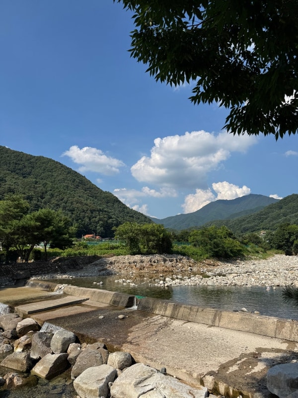 [가평] 물소리 캠핑장 10번 사이트 후기 (명당, 계곡 정보)