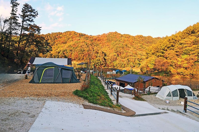 아이월관광농원 시설 사진 14