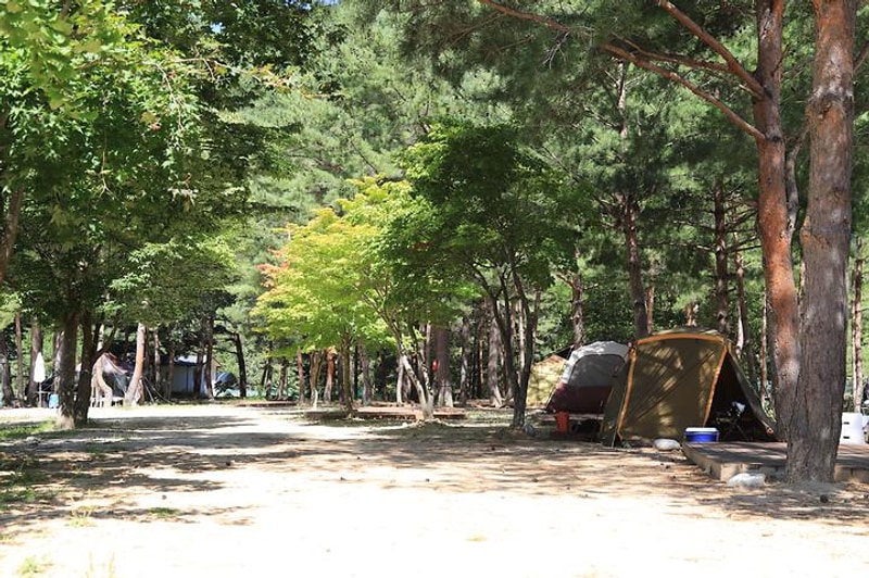 오투캐빈 대표 사진