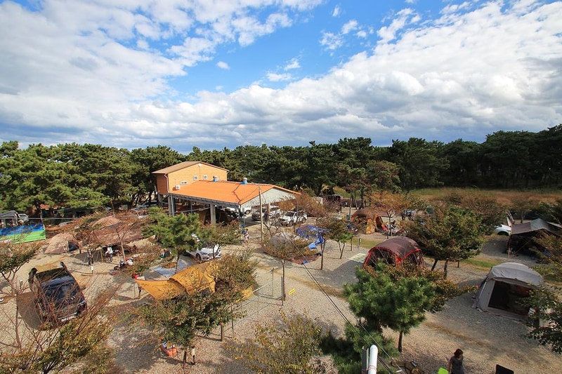 그린오토캠핑장 시설 사진 9