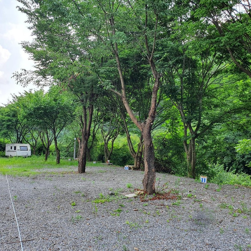 강원 홍천 알프스밸리 캠핑나라 글램독 시설 사진 21