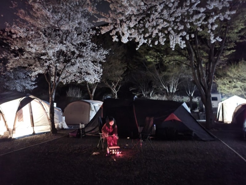 89번째 캠핑) 의령 벽계야영장 벚꽃캠 성공!