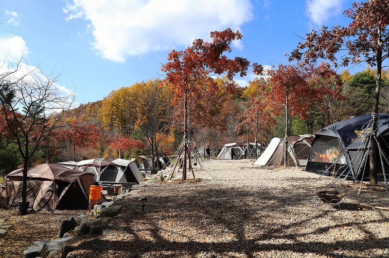 삼남매와 뭉치네 캠핑장 시설 사진 19