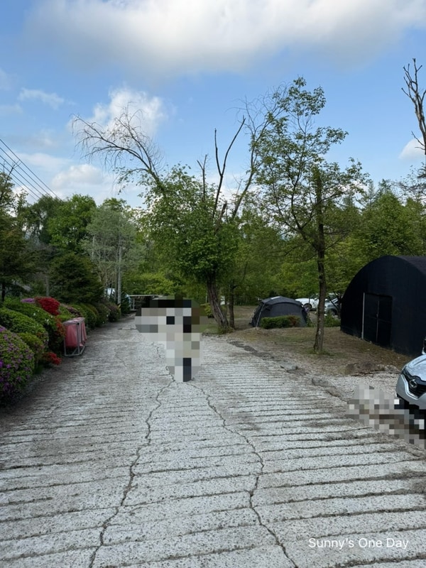 [포천 광릉솔개캠핑장] 25년도 두번째 캠핑!