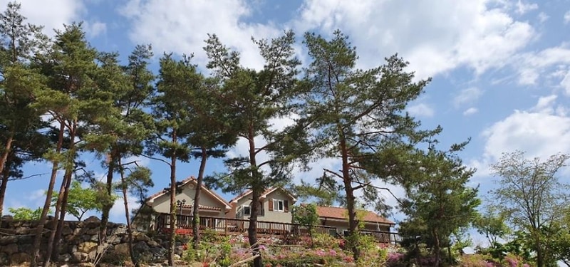 왕피천하늘담야영장 시설 사진 15