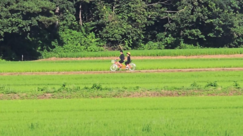 달산 글램핑 시설 사진 6