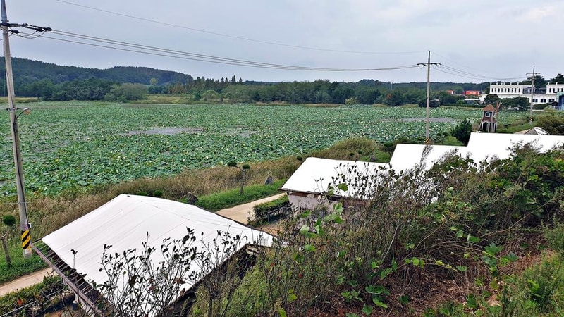 태안 안면도 비비애견동반캠핑장 시설 사진 25