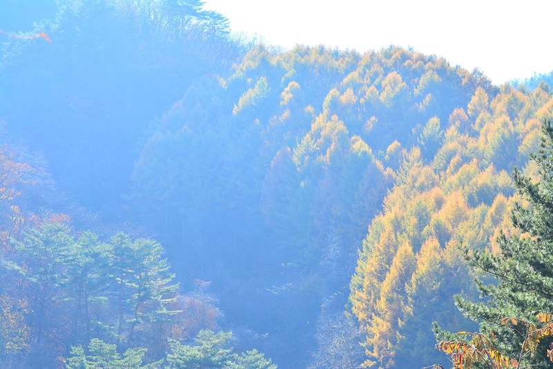 하이캠핑장 시설 사진 15