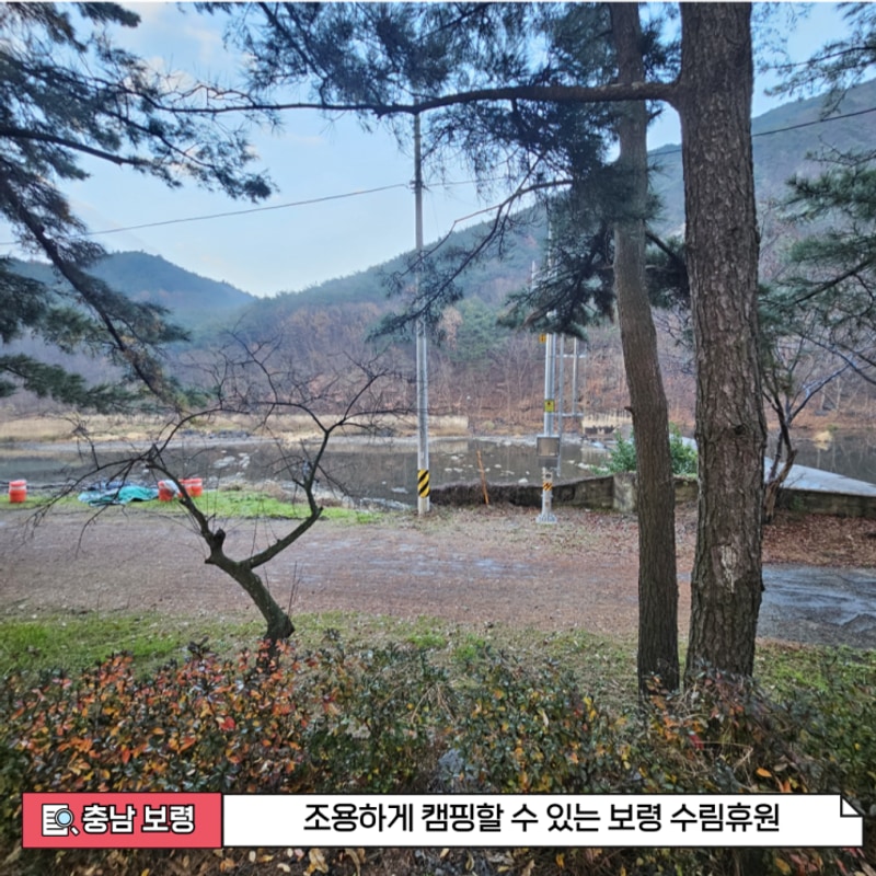 [충남 보령] 조용하게 캠핑할 수 있는 보령 수림휴원