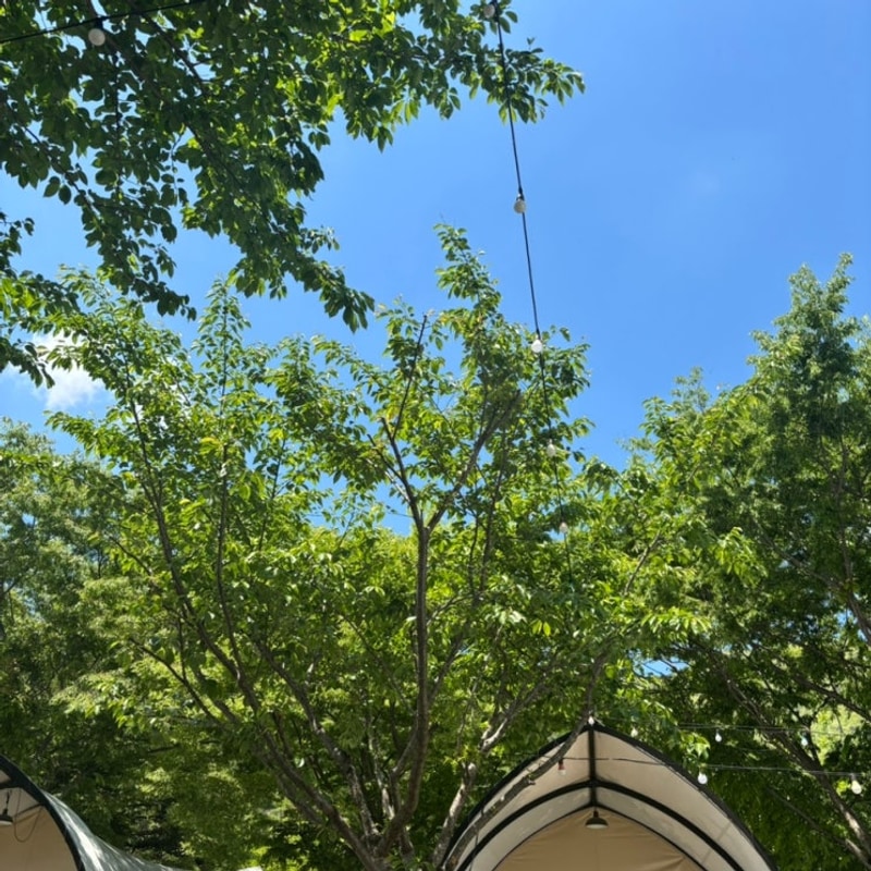 경주 산내자연캠프펜션