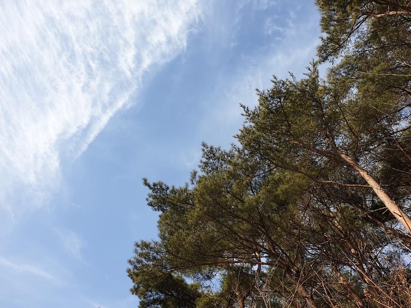 러빙유 카라반 캠핑장 시설 사진 10