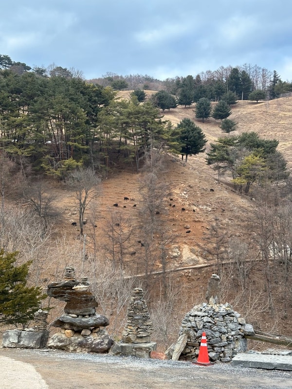 [평창] 산너미목장 | 강원도에서 첫 동계캠핑을 하다