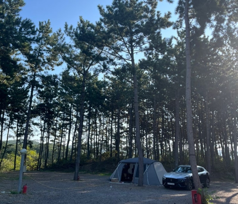 태안캠핑, 신두리가든글램핑캠핑장, 태안카페 더마리나