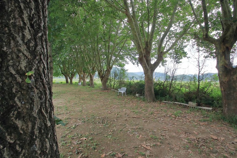 잉카마야박물관&캠핑장 시설 사진 6