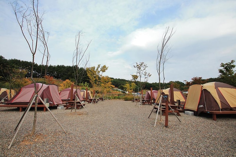 서천 금빛노을 서울캠핑장 시설 사진 4