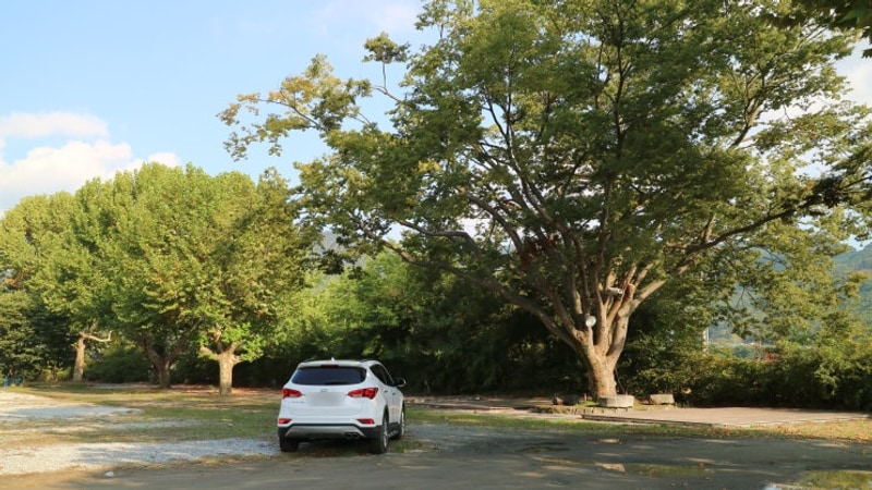 #2 충주 반딧불 오토캠핑장 네 번째 방문