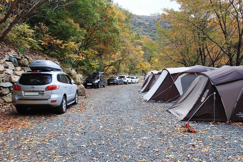 그린하우스캠핑장 시설 사진 1