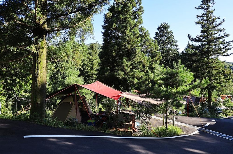 윤제림오토캠핑장 시설 사진 13