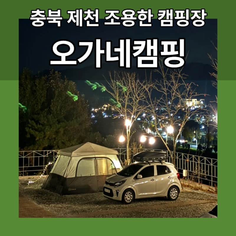 [오가네캠핑] 충북 제천 조용하고 아늑한 캠핑장 11월 솔캠 추천