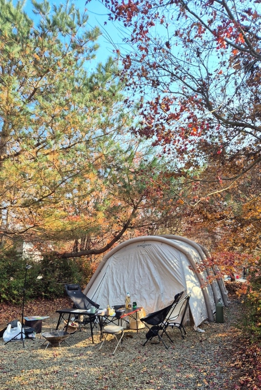 경기 연천 캠핑장 숲속에 있는 듯한 평화강변수목캠핑장