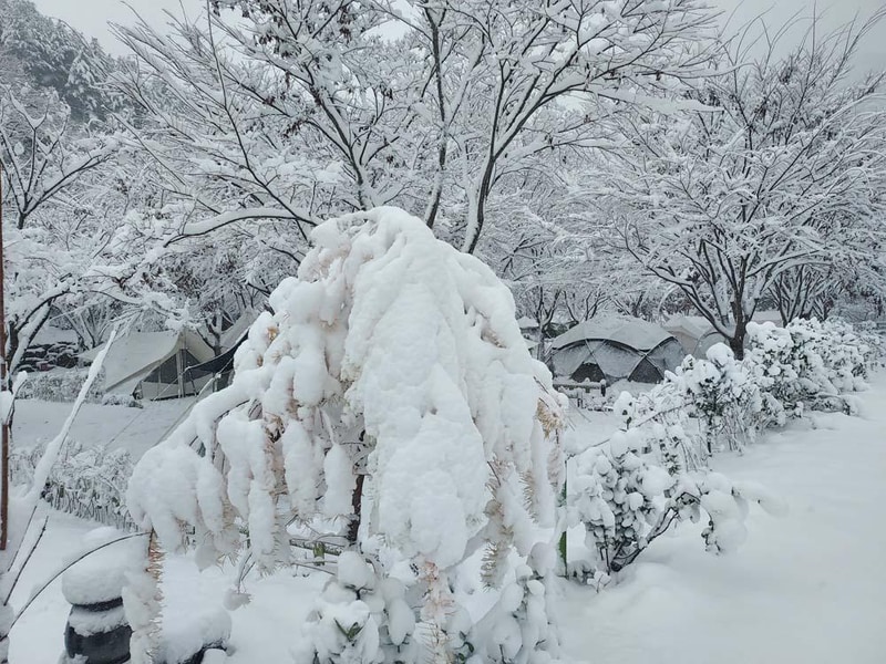 횡성산울림오토캠핑장 시설 사진 11