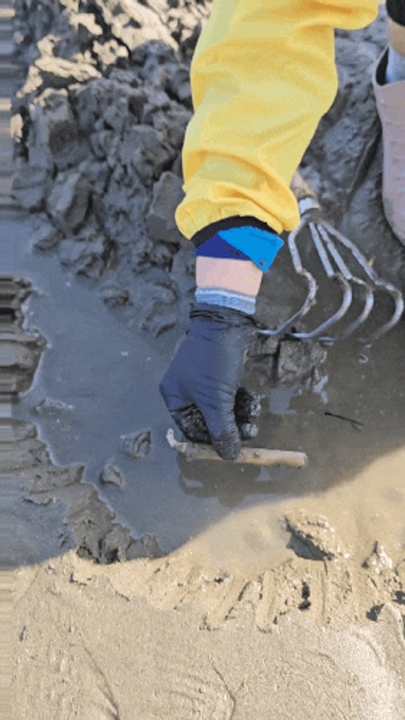 [전북/부안] 아이랑 갯벌체험 하기좋은 곳 | 변산오토캠핑장