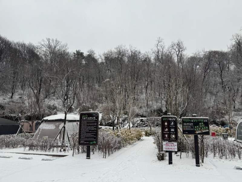 캠핑 기록일지3.남양주 별빛캠핑장,천왕산 가족 캠핑장