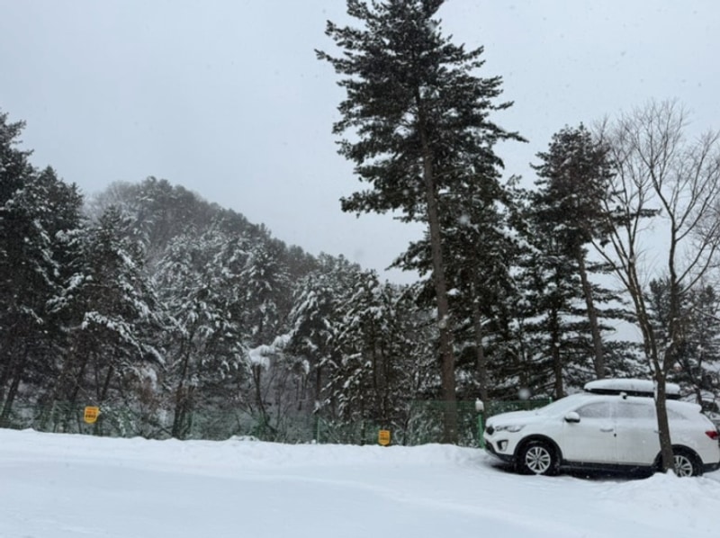 가평 무릉도원캠핑장 A-8사이트에서 폭설주의보 내린날...
