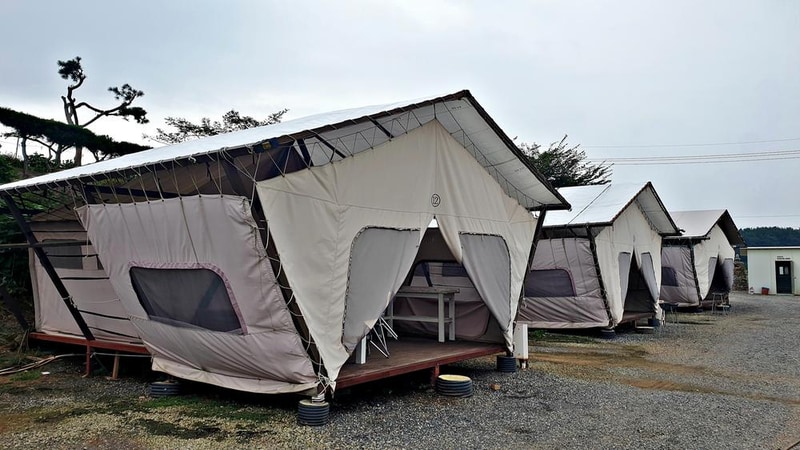 태안 안면도 비비애견동반캠핑장 시설 사진 2