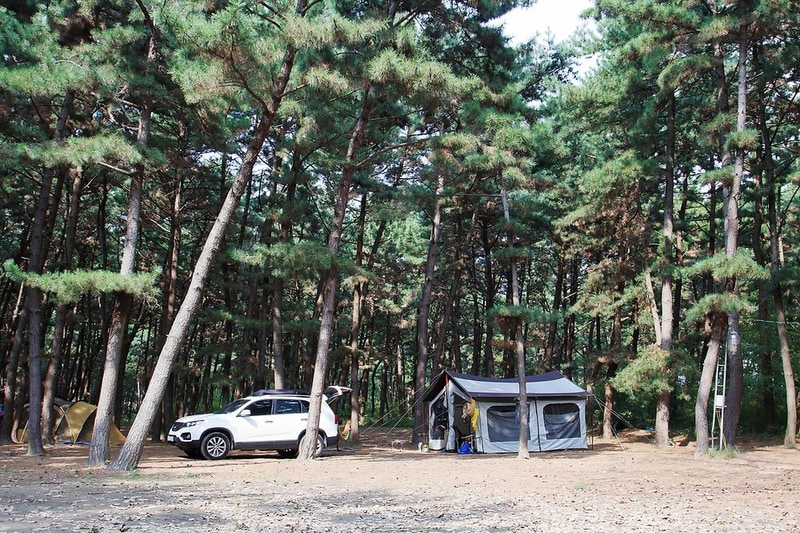 솔내음 야영장 시설 사진 5