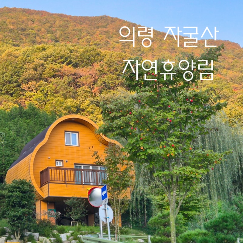 의령 자굴산자연휴양림 숙소 캠핑장 네트놀이터 이용방법