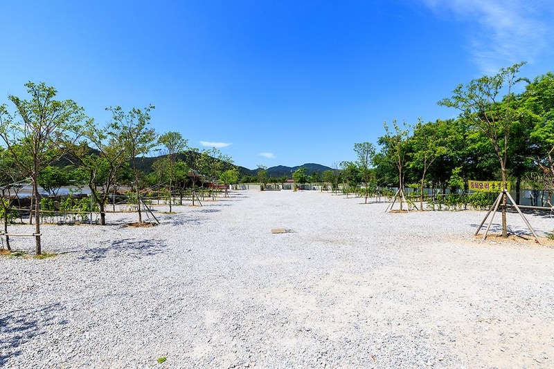 바다야영장 시설 사진 14