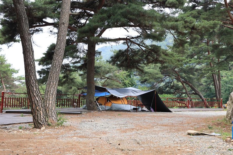 팜스프링 야영장 시설 사진 23