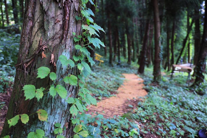 선인장 시설 사진 16