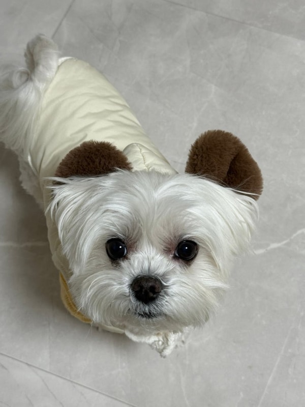 진천 신생 캠핑장 다올캠핑장 1박 2일 C6 (12/24~25일)