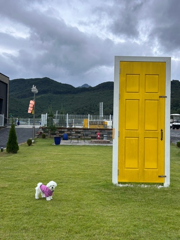 괴산 즐거운녀석들/ 반려견동반 환영하는 괴산 캠핑장 이용후기