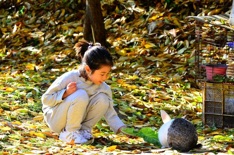 둥지캠핑장 시설 사진 8