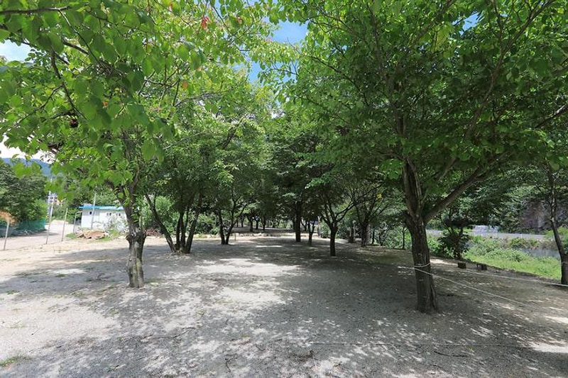 산골펜션캠핑장 대표 사진