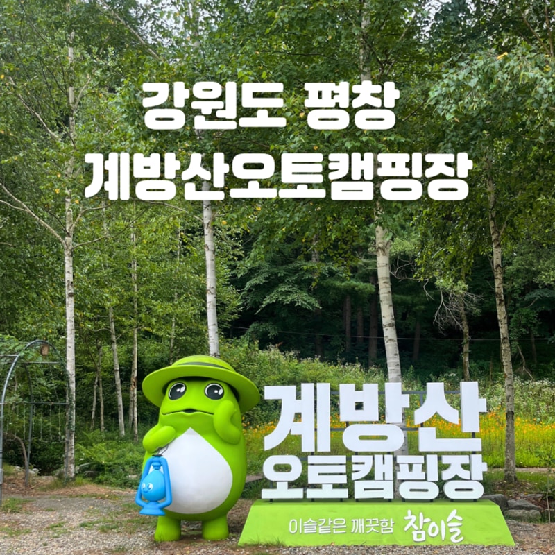 평창 계방산 오토캠핑장 계곡 애견동반 가능한 2캠핑장 D1