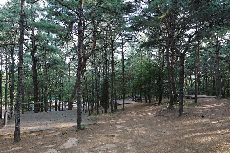 파인힐캠프 시설 사진 7