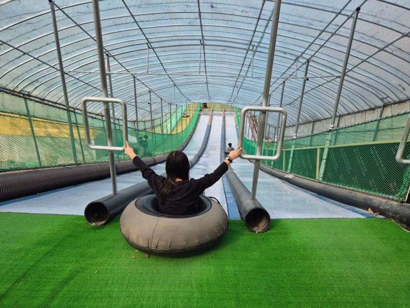 포천 키즈캠핑장 추천 대회산캠핑장 K구역 타프존 후기